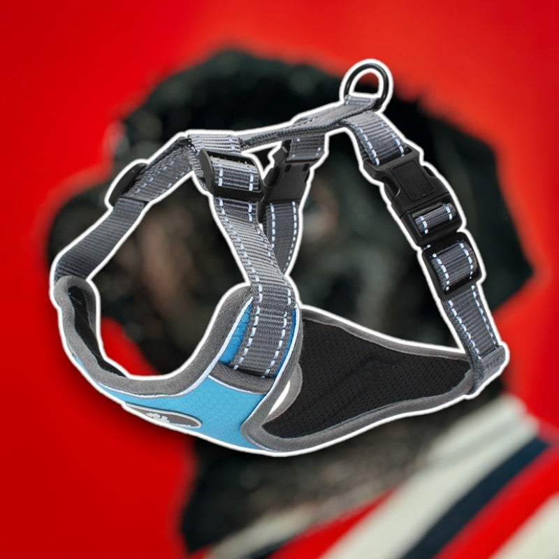 Reflective Safety Harness