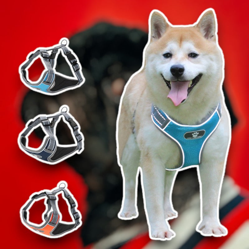 Reflective Safety Harness